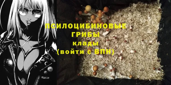 стаф Алексин