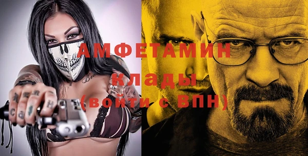 стаф Алексин