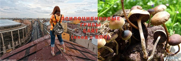 спиды Алексеевка