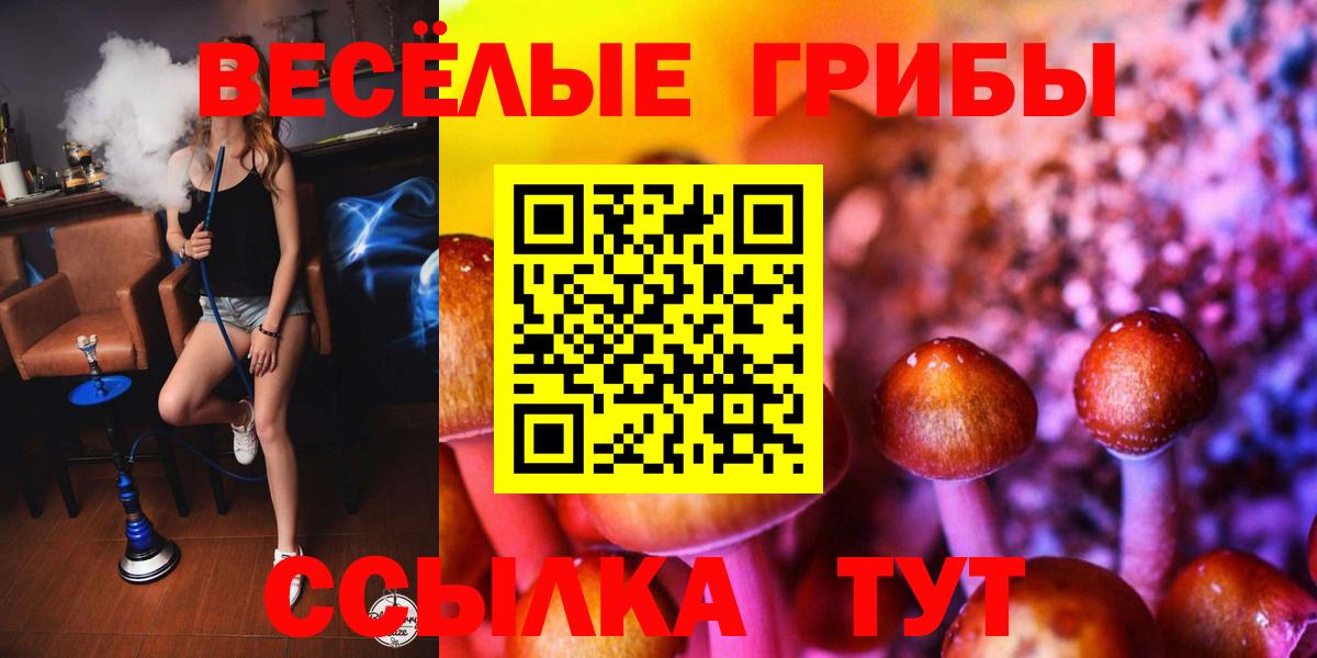 Псилоцибиновые грибы Magic Shrooms Ставрополь