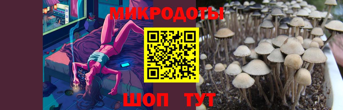 закладка  Вход с VPN  Ставрополь  Псилоцибиновые грибы ЛСД  Галлюциногенные грибы GOLDEN TEACHER 